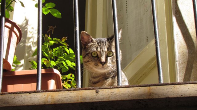 01okt2011000002_thumb