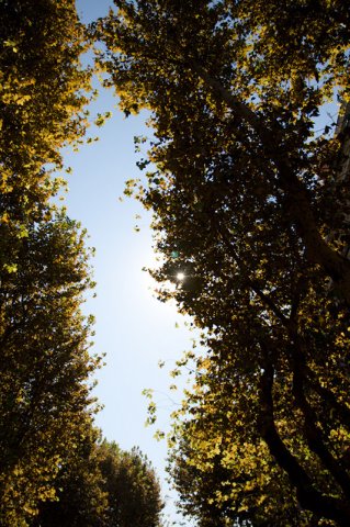 02okt2011000004_thumb