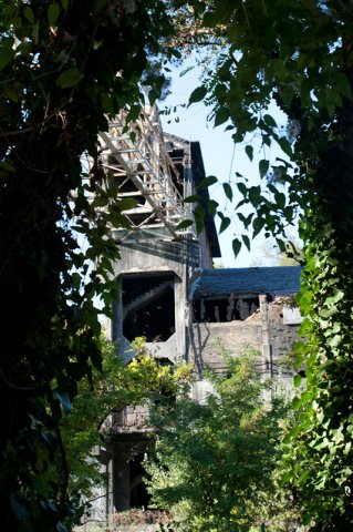 05okt2011000007_thumb