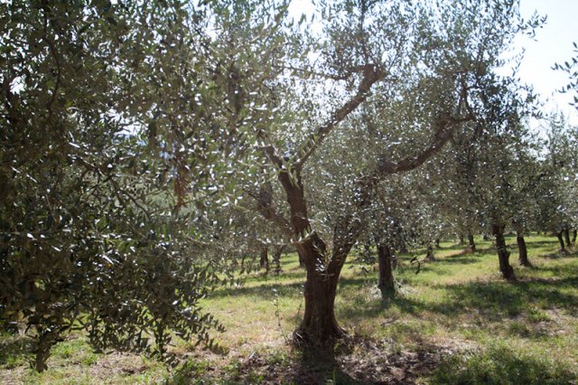 08okt2011000032_thumb